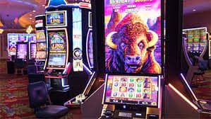 arion games player viewing win history and payout results on a mobile phone in the Philippines
